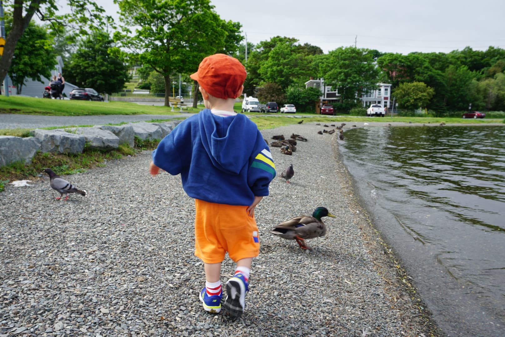 Baby O walking around Qidi Vidi lake